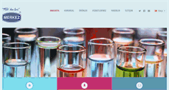 Desktop Screenshot of merkezilac.com